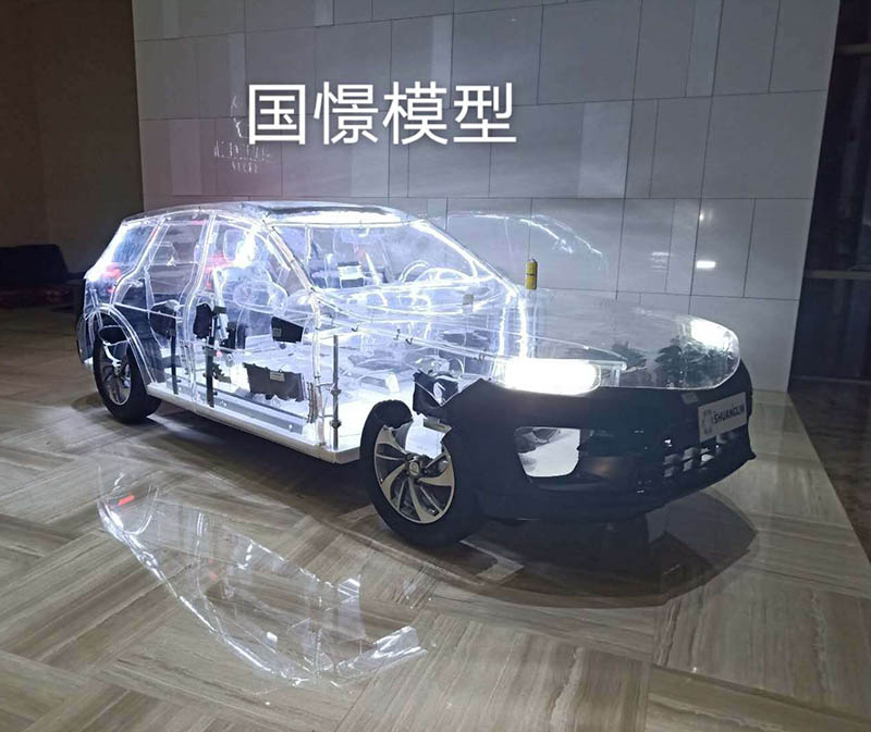 延长县透明车模型